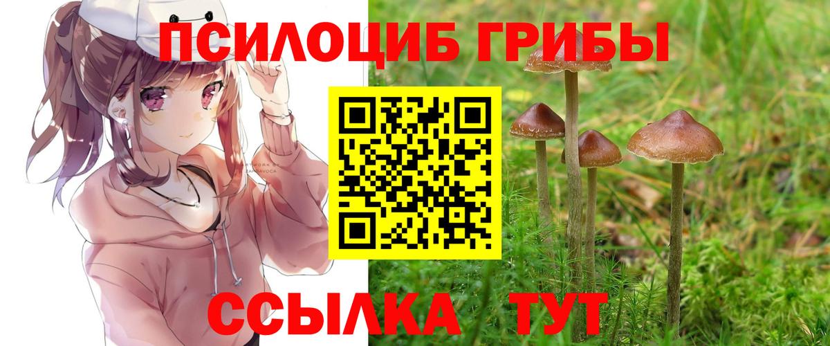 Галлюциногенные грибы MAGIC MUSHROOMS Валуйки